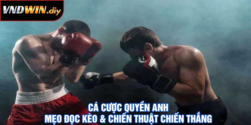 Cá cược Quyền Anh