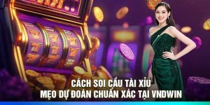 Cách Soi Cầu Tài Xỉu – Mẹo Dự Đoán Chuẩn Xác Tại VNDWin