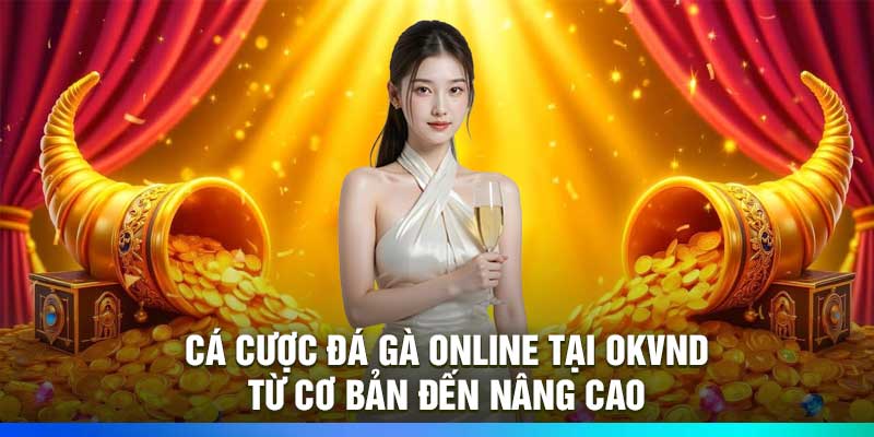 Cá cược đá gà online tại Okvnd – Từ cơ bản đến nâng cao